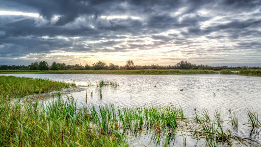 water flooding a field
