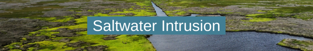 Saltwater intrusion