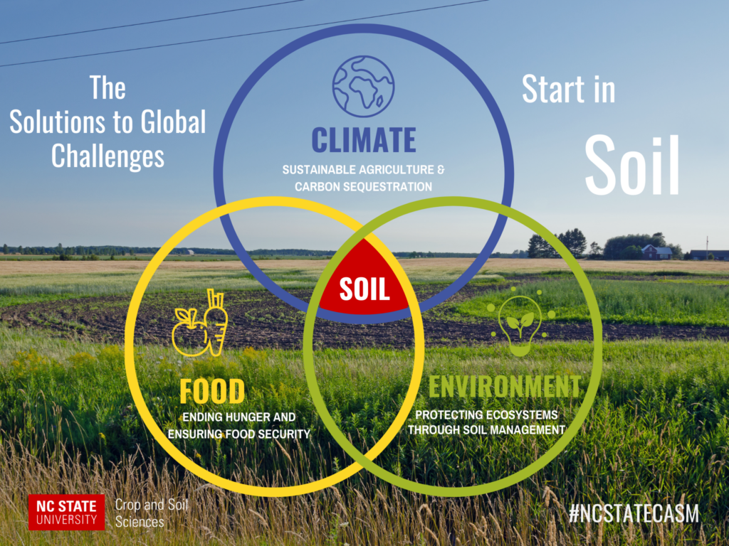 Global challenges intersect with soil venn diagram