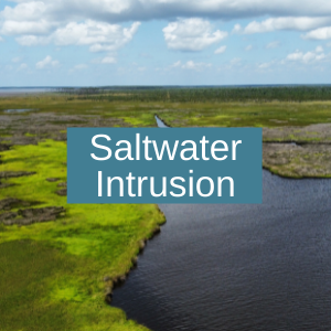Saltwater intrusion research team link
