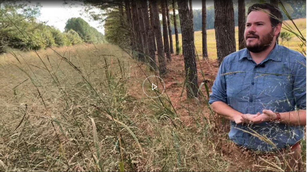 NC State CASM's Dr. Alex Woodley talks with Spectrum News about climate-resilient agriculture in North Carolina.